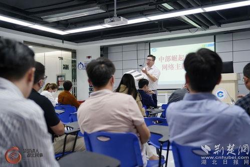 黄石电子厂爆料事件视频,揭秘工厂内部惊人真相